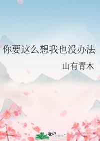 你要这么想我也没办法